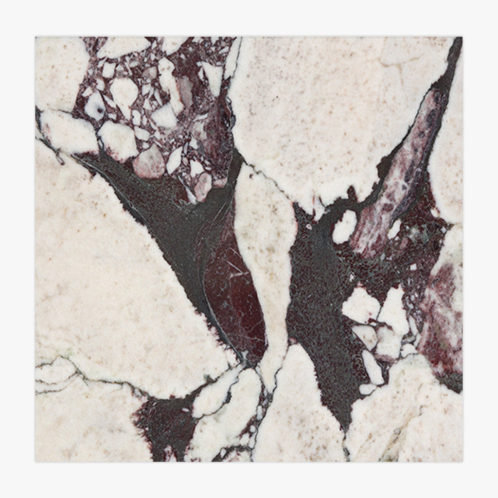 Calacatta Viola Polished 12x12 Marble Tile