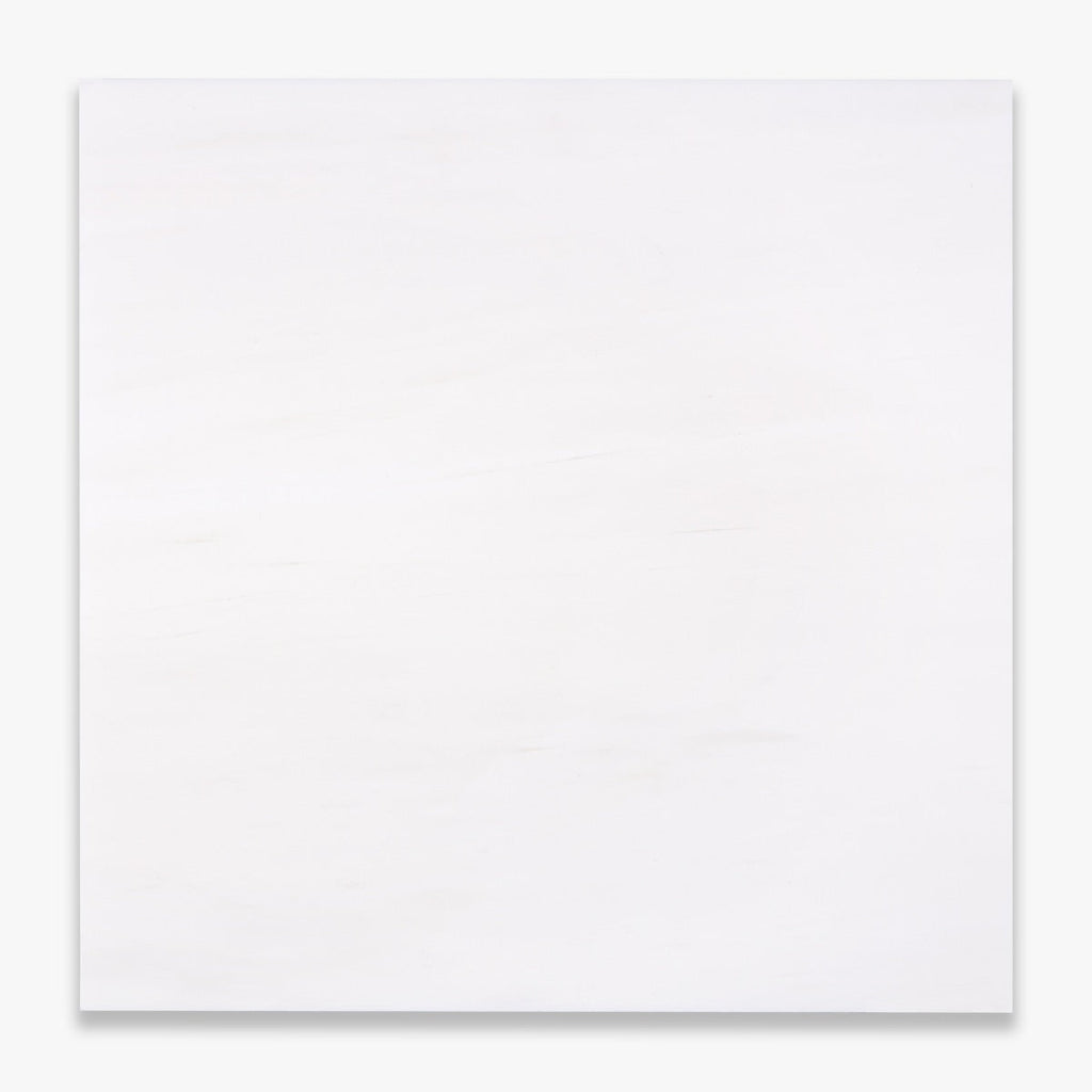 Bianco Dolomite Honed 18x18 Marble Tile