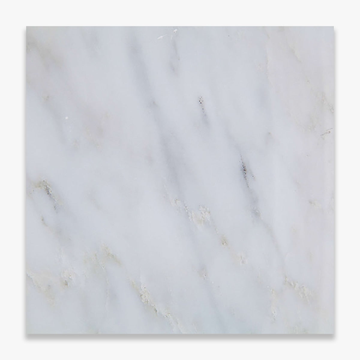 Calacatta Bellini Honed 4x4 Marble Tile